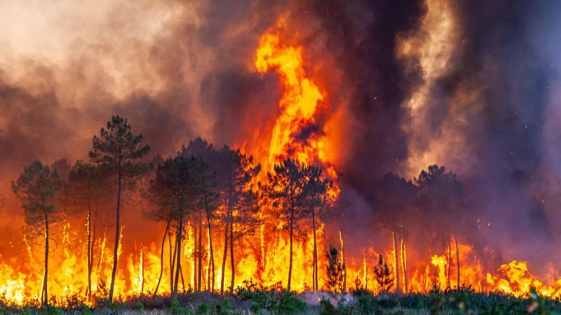 France is on fire. How bad is it this time?